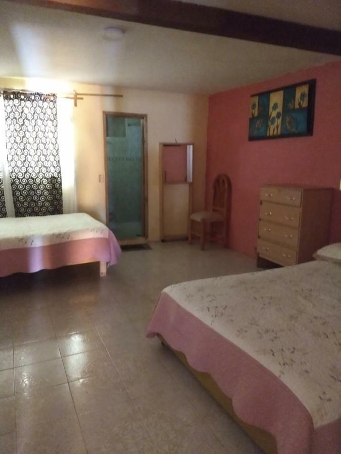 El Paraiso De Zacatlan Departamento Con Jardin, 11 Pax Zewnętrze zdjęcie