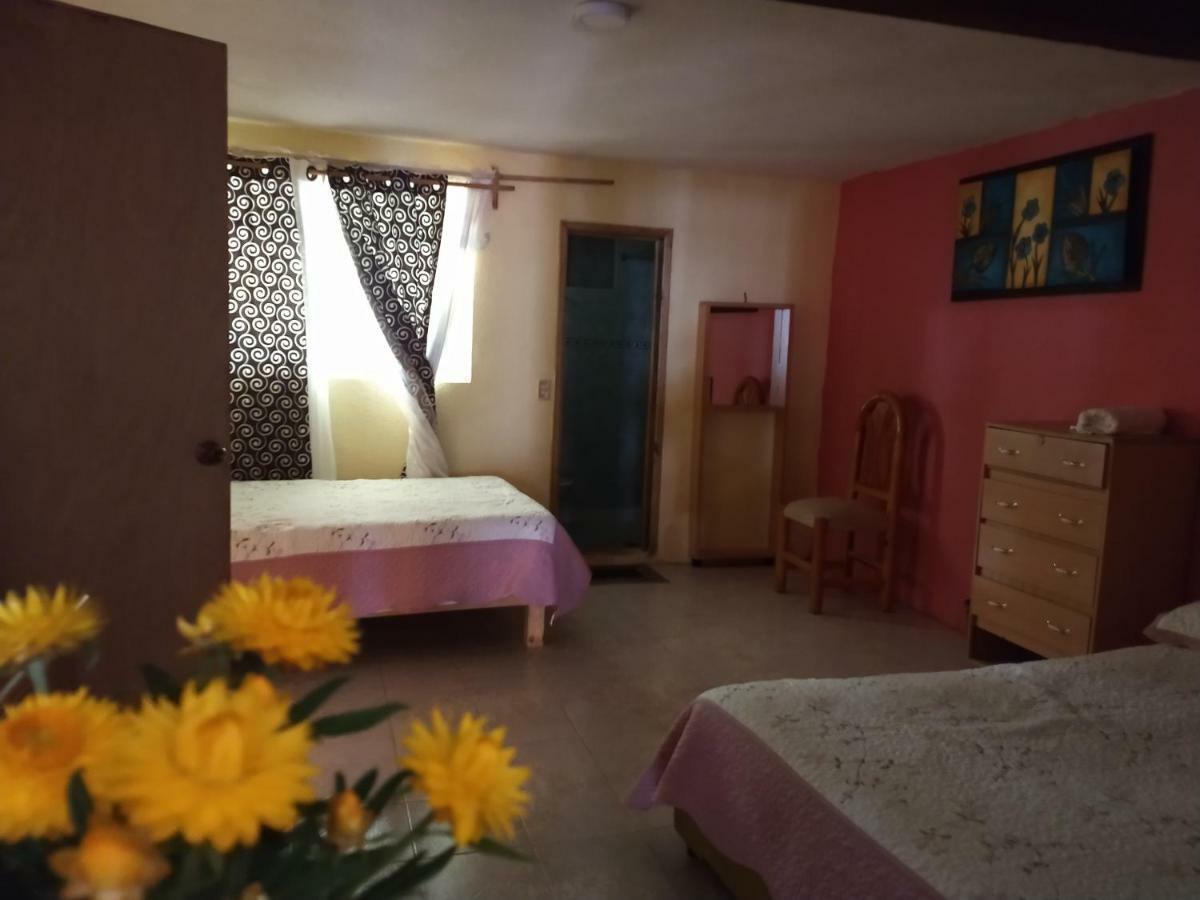 El Paraiso De Zacatlan Departamento Con Jardin, 11 Pax Zewnętrze zdjęcie